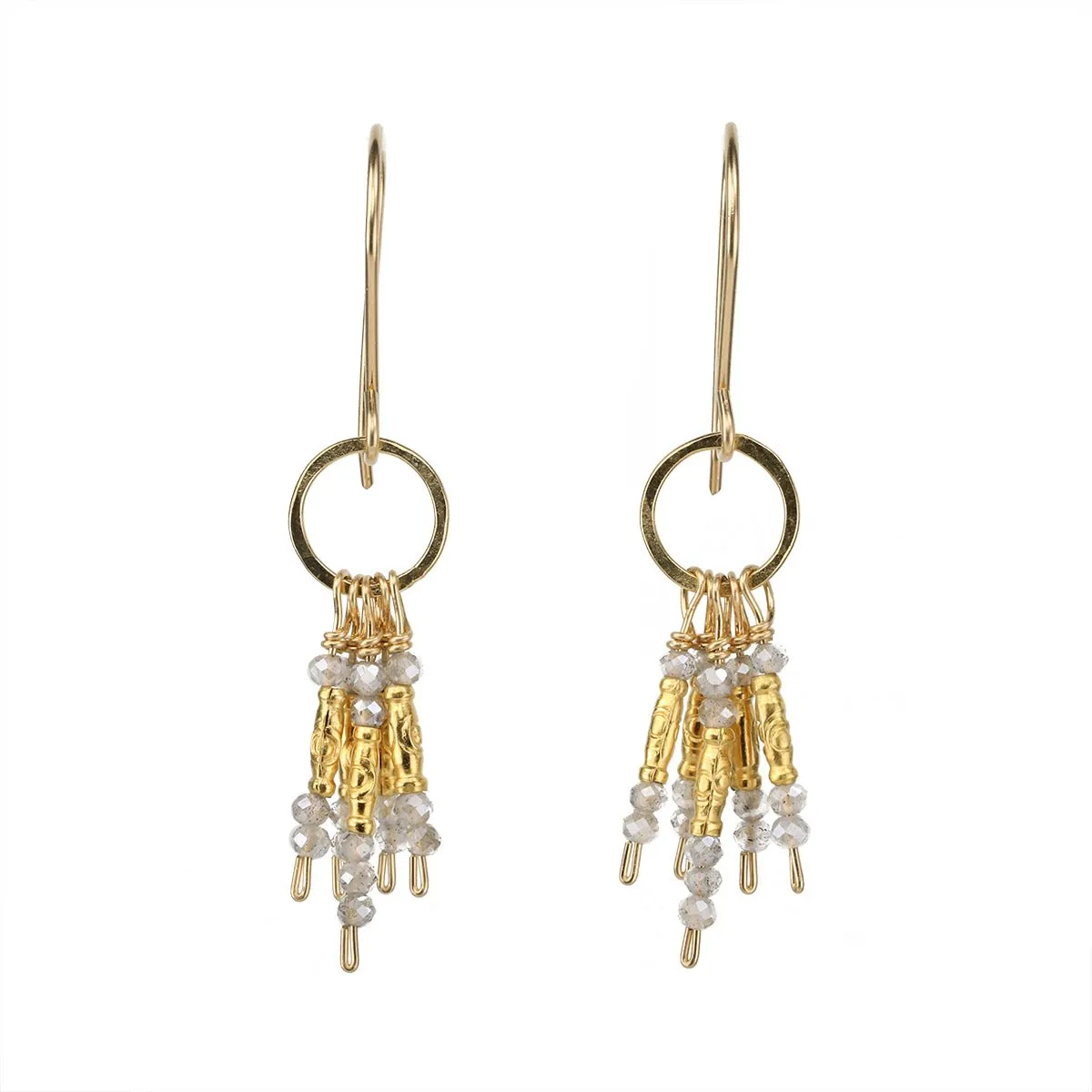 Faceted Labradorite and Gold Vermeil Fringe Earrings