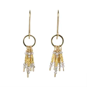 Faceted Labradorite and Gold Vermeil Fringe Earrings