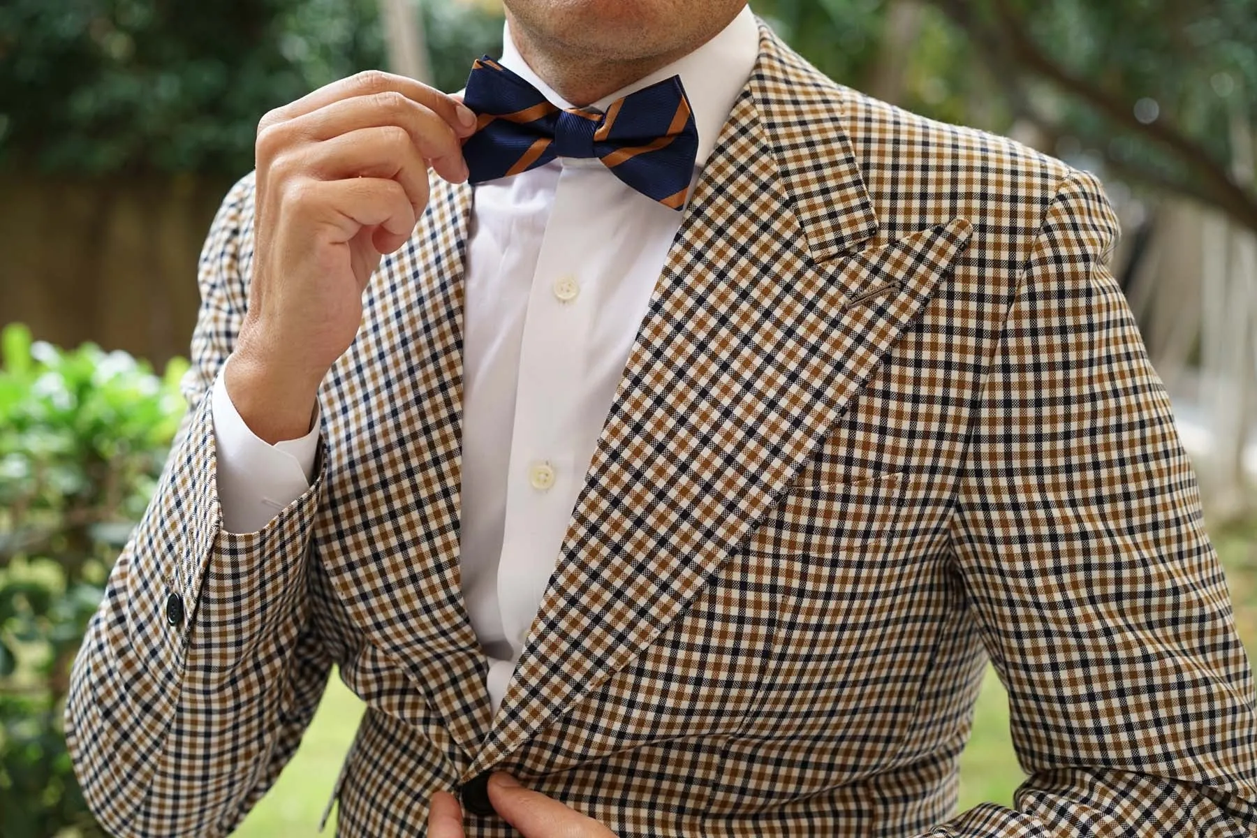 Navy Blue Bow Tie with Striped Brown