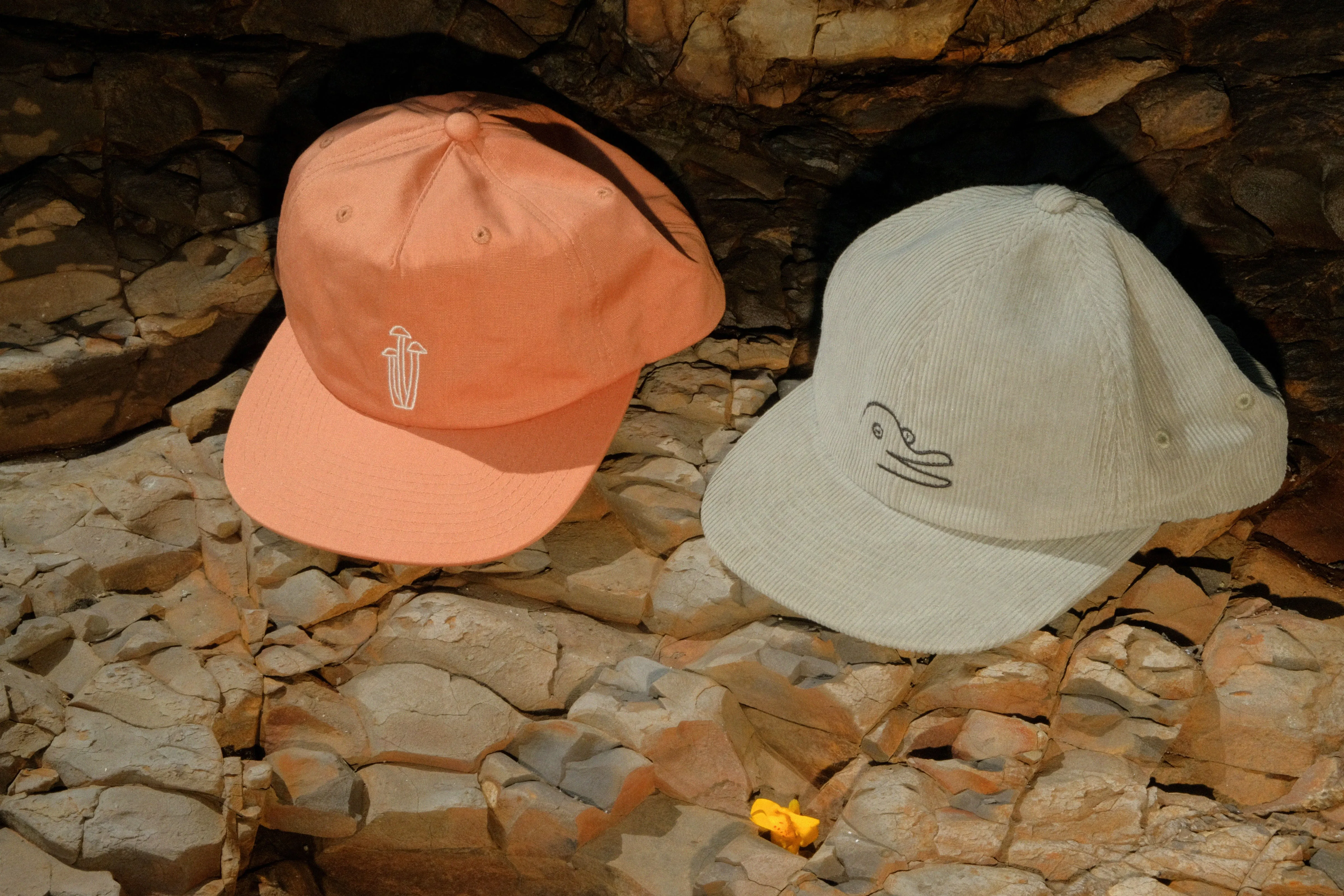 Vans / Mollusk Mushroom Cap