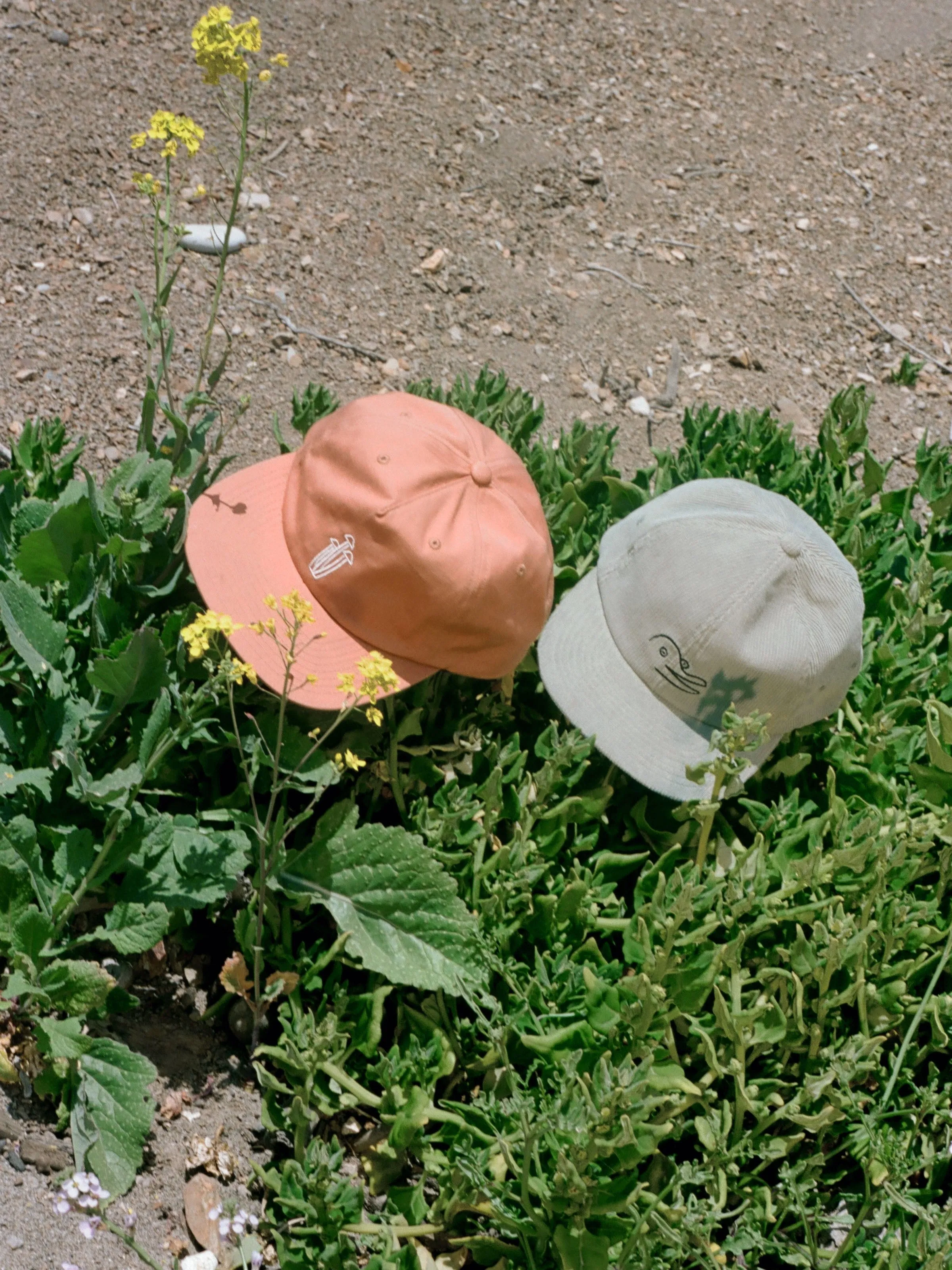 Vans / Mollusk Mushroom Cap